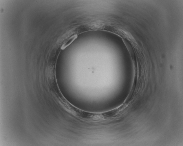 X0000075840409200609221710