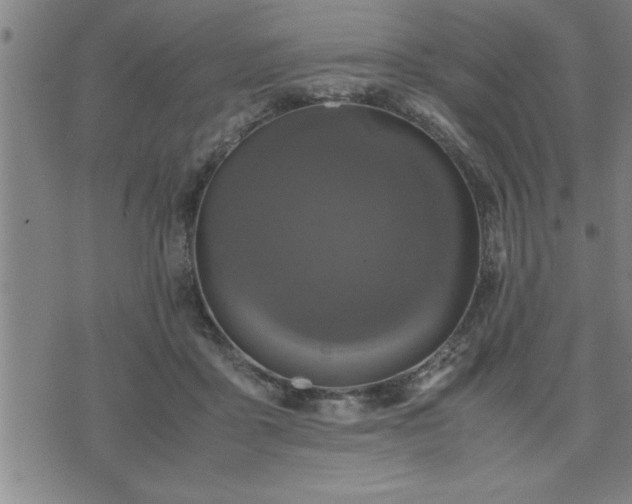 X0000075840411200609221710