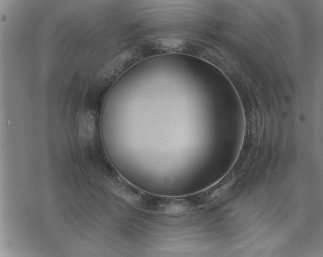 X0000075840412200609221710