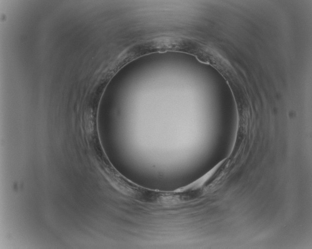 X0000075840413200609221710