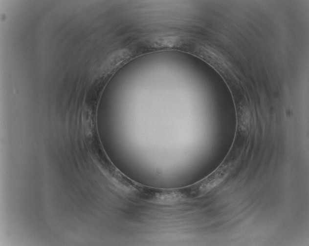 X0000075840414200609221710