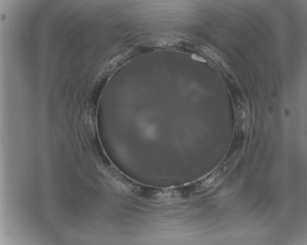 X0000075840415200609221710