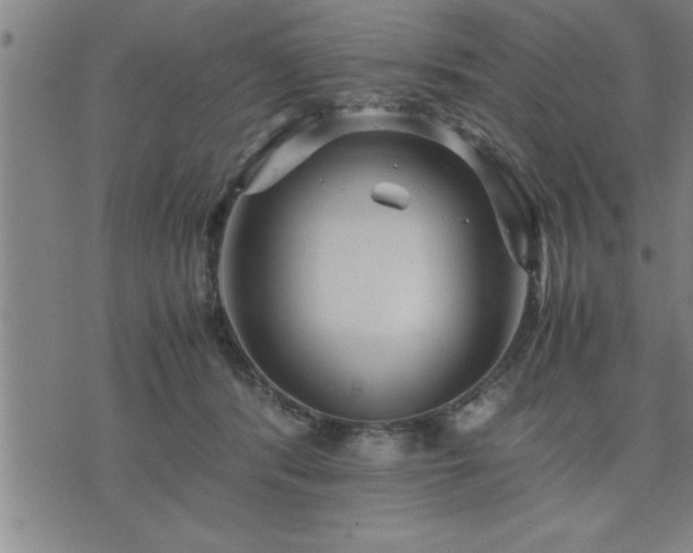 X0000075840416200609221710