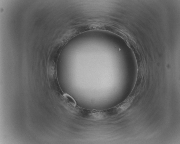 X0000075840417200609221710