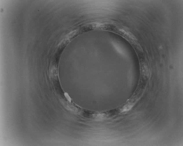 X0000075840419200609221710