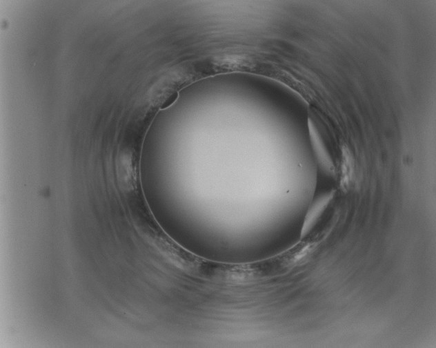 X0000075840420200609221710