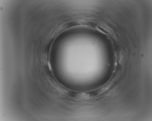 X0000075840421200609221710