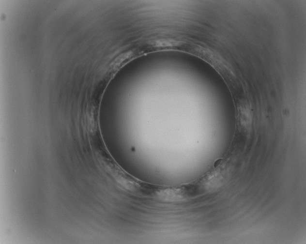 X0000075840422200609221710