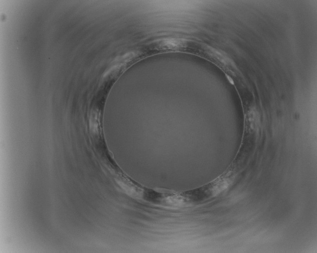 X0000075840423200609221710