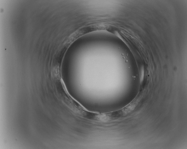 X0000075840425200609221710