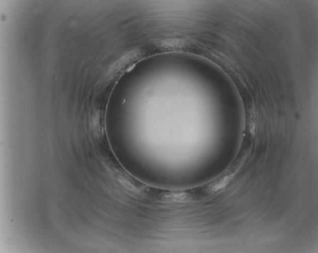 X0000075840428200609221710