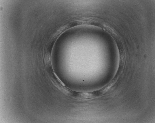 X0000075840429200609221710