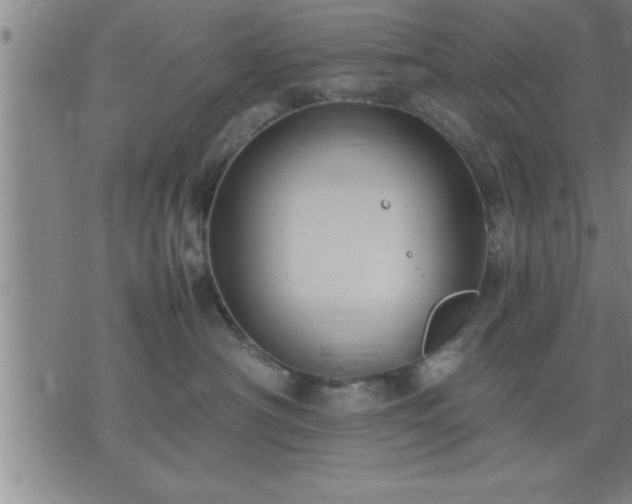 X0000075840430200609221710