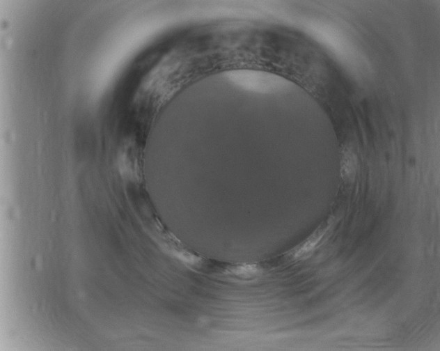 X0000075840431200609221710