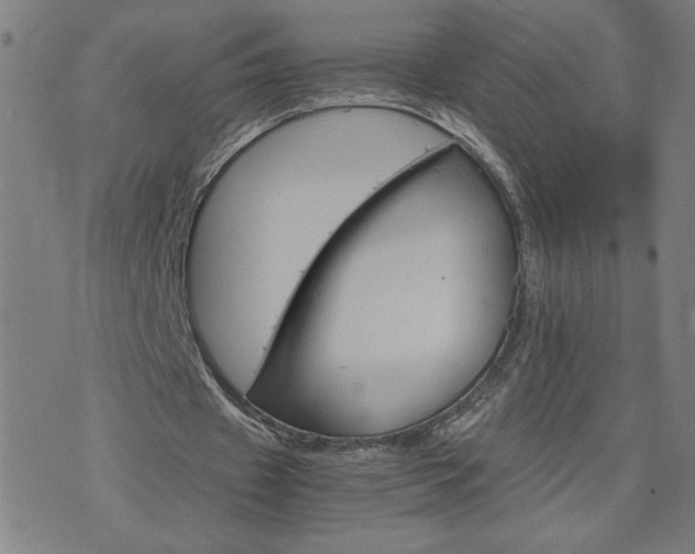 X0000075840433200609221709