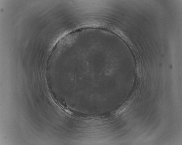 X0000075840434200609221709