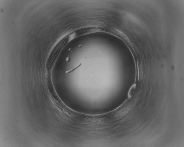 X0000075840435200609221709