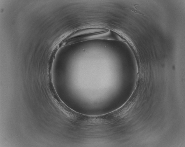 X0000075840437200609221709