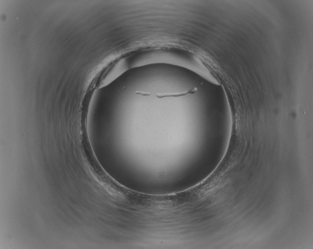 X0000075840438200609221709