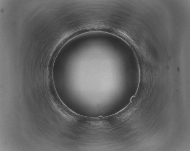 X0000075840439200609221709