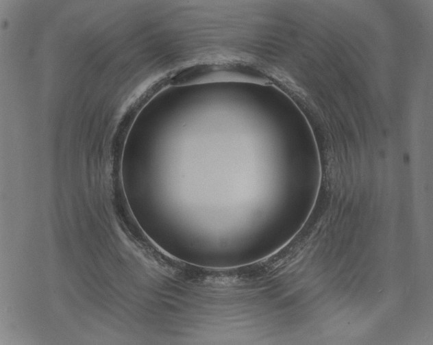 X0000075840440200609221709