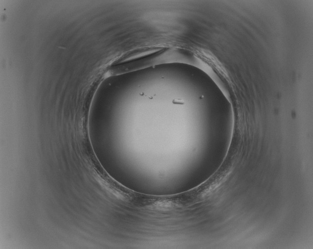 X0000075840441200609221709