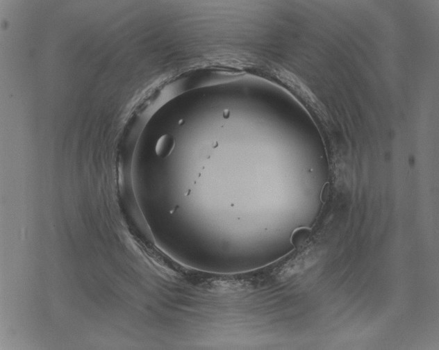 X0000075840442200609221709