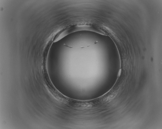 X0000075840443200609221709