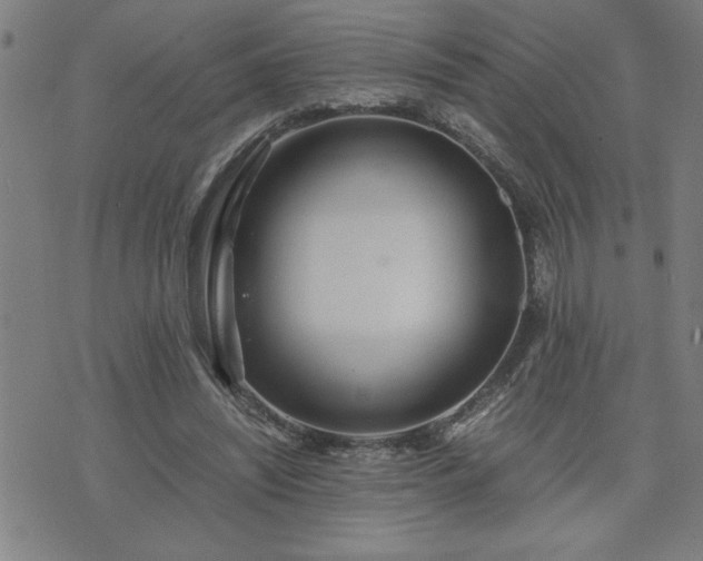 X0000075840444200609221709