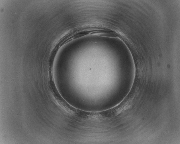 X0000075840446200609221709