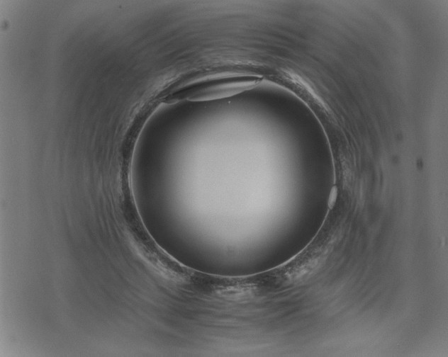 X0000075840447200609221709