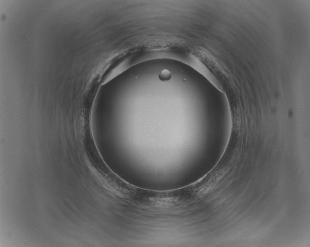 X0000075840448200609221709