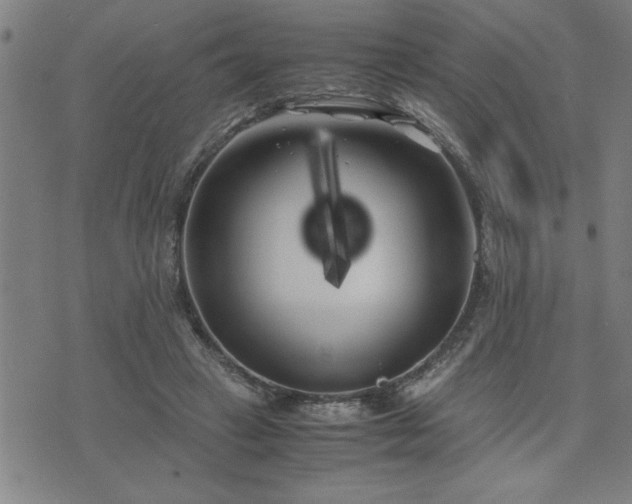 X0000075840449200609221709