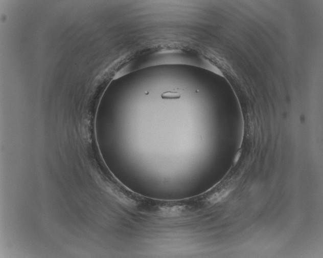 X0000075840450200609221709