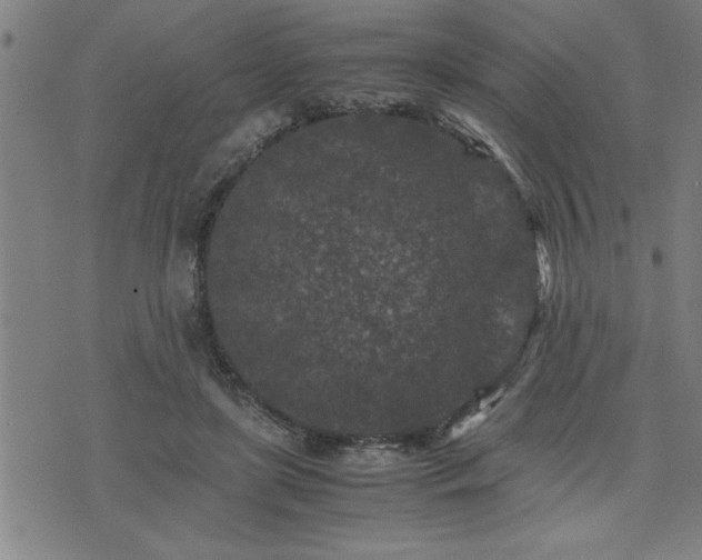 X0000075840451200609221709