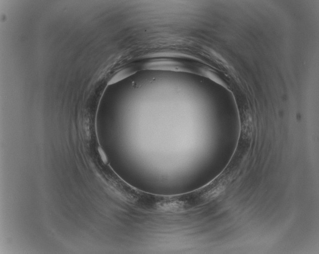 X0000075840452200609221709