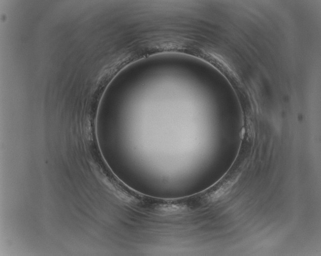 X0000075840453200609221709