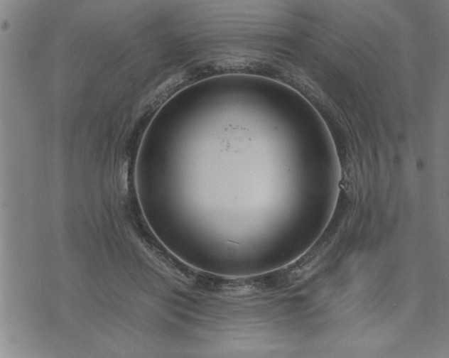 X0000075840454200609221709