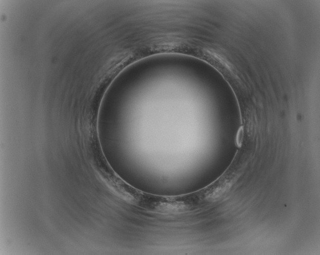 X0000075840455200609221709