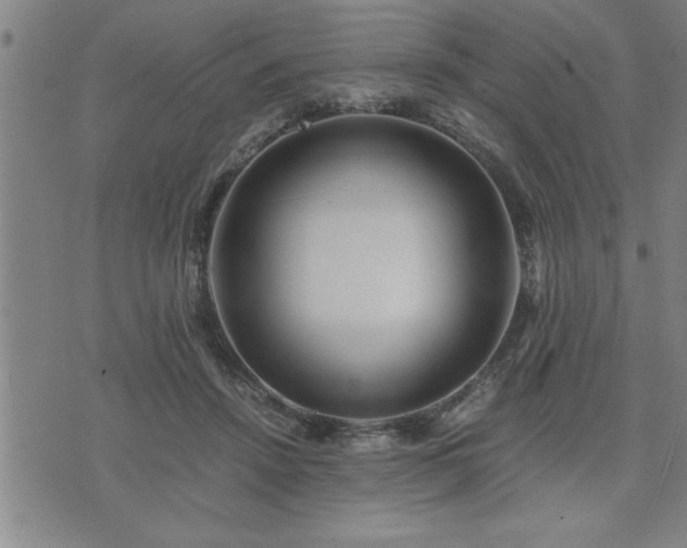 X0000075840456200609221709