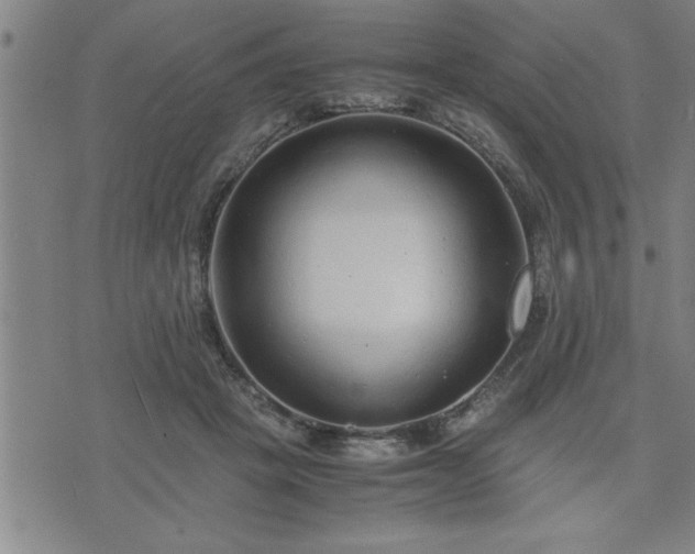 X0000075840457200609221709