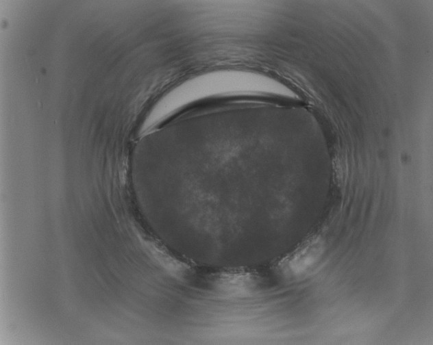 X0000075840458200609221709