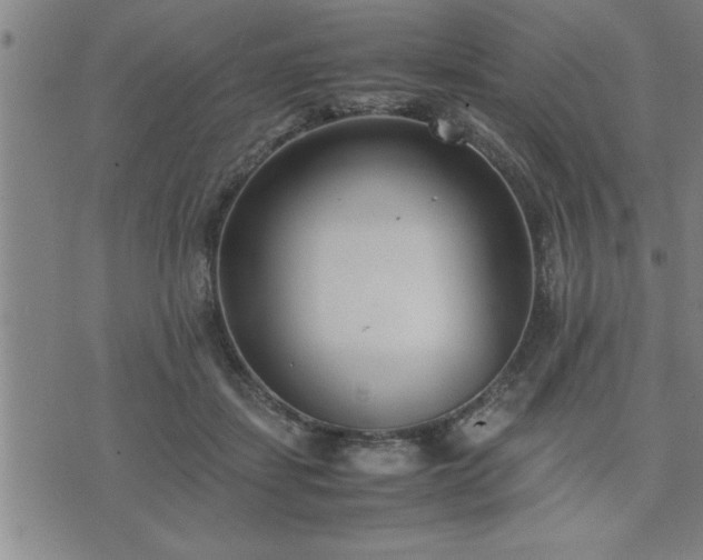 X0000075840459200609221709