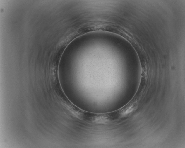 X0000075840462200609221709