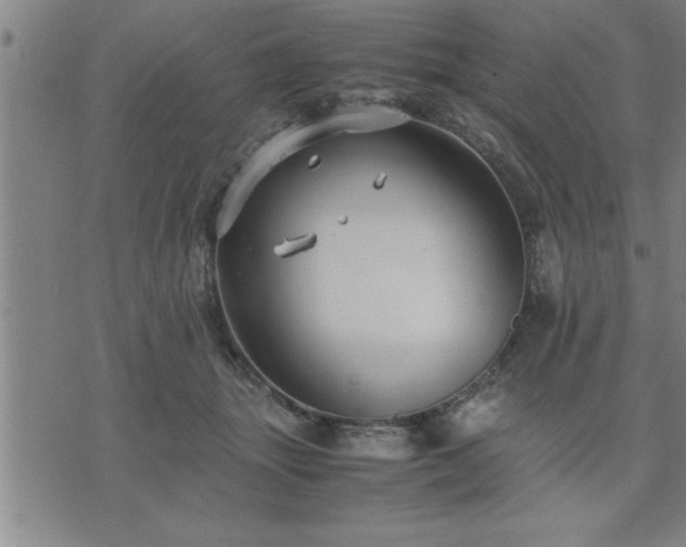 X0000075840463200609221709