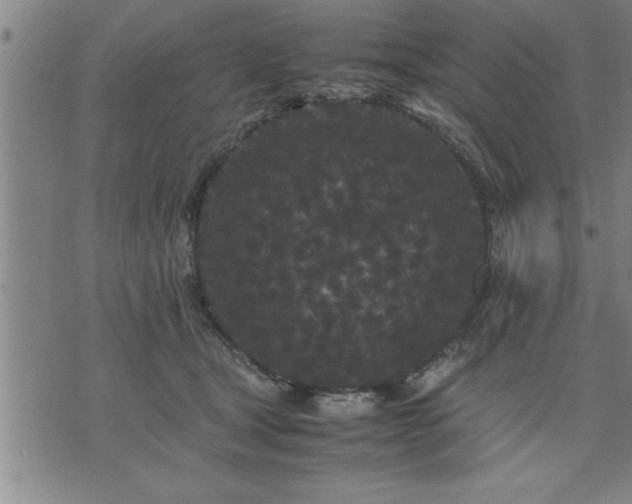 X0000075840465200609221709