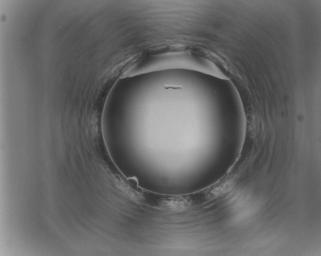 X0000075840466200609221709