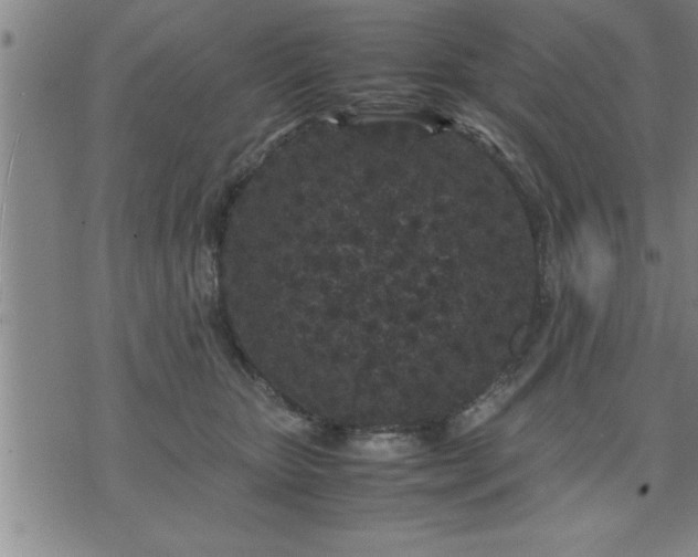 X0000075840467200609221709