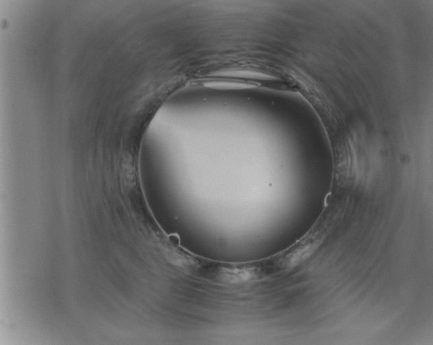 X0000075840469200609221709