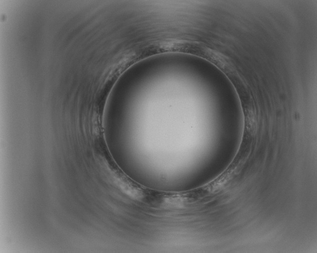 X0000075840470200609221709